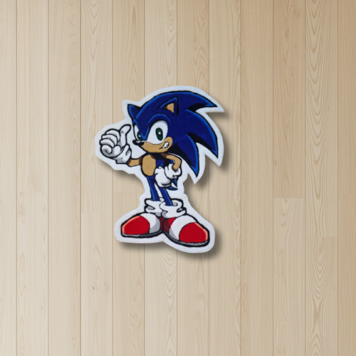 Sonic the Hedgehog Rug