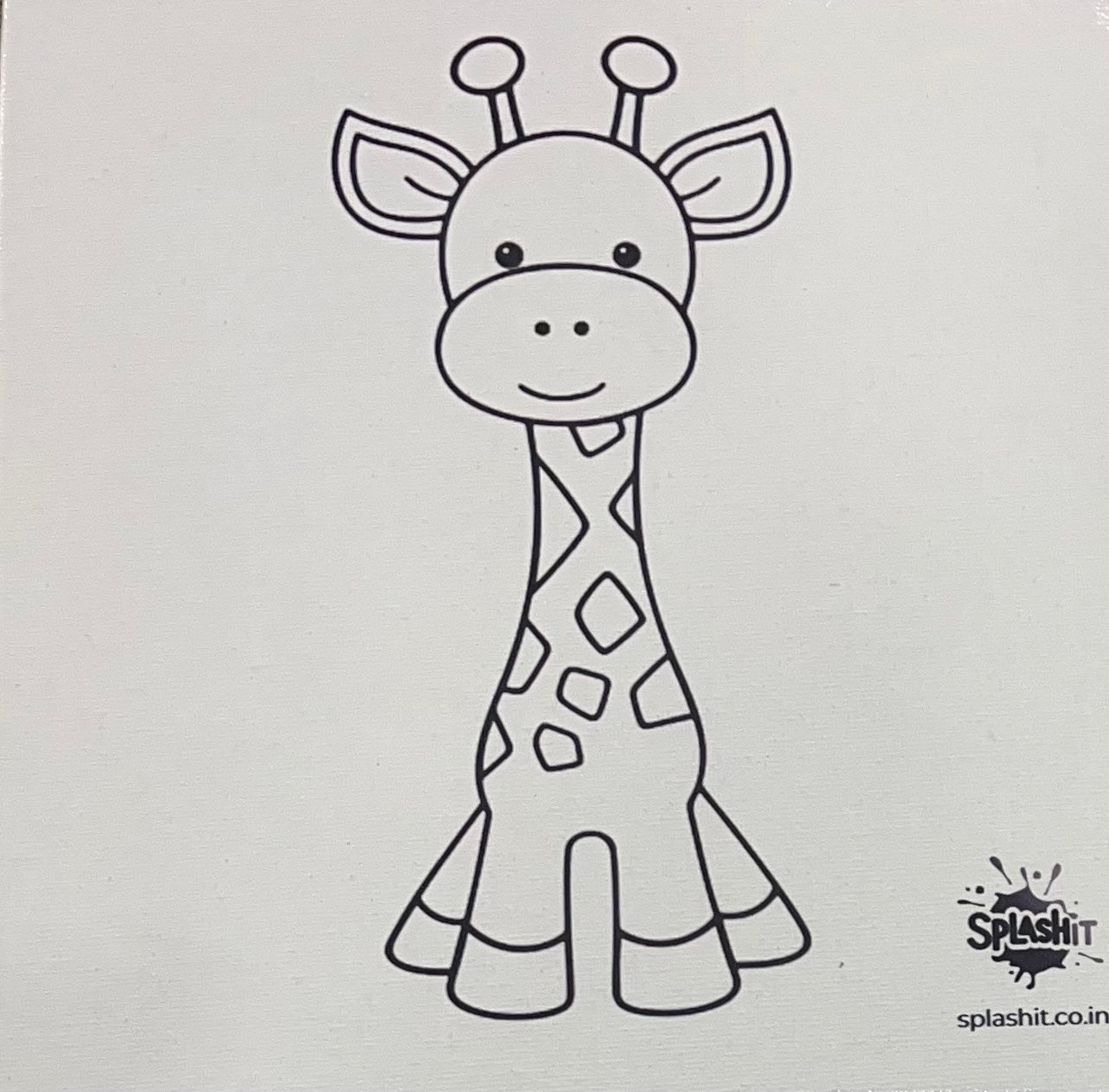 Acrylic Art Kit - Pre Outlined Canvas